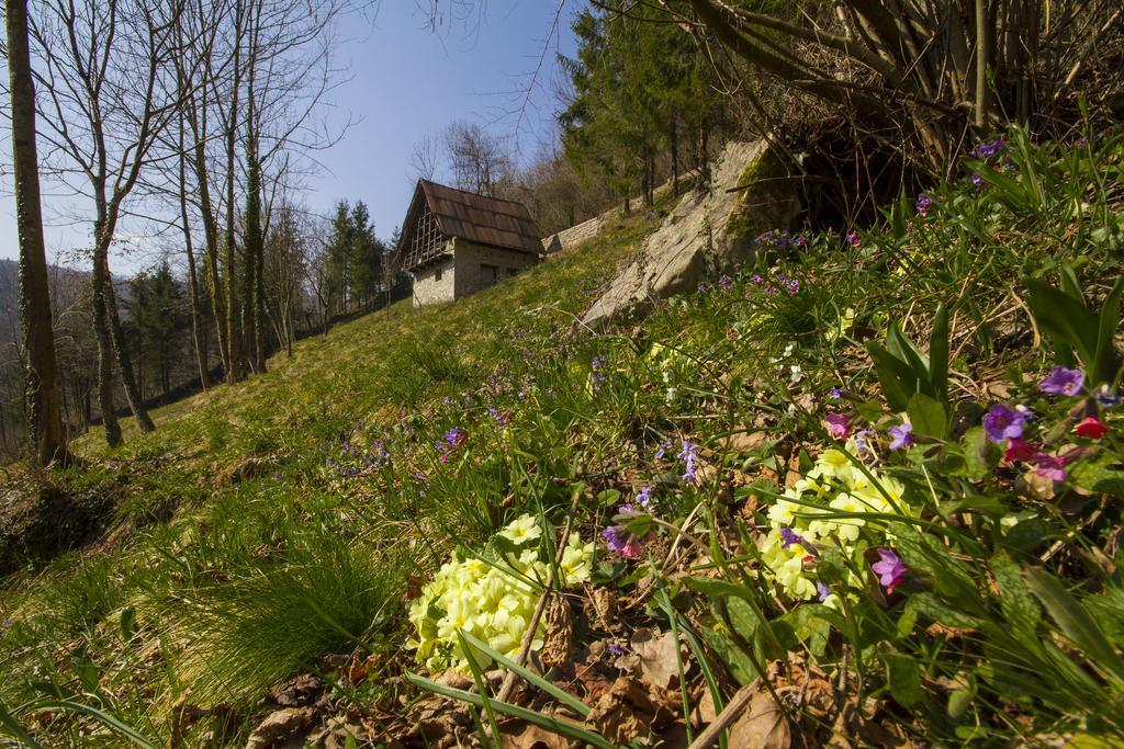 Villa Casa delle Noci Grimacco Habitación foto
